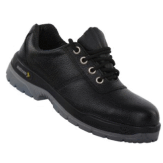 Pampas S3 BG-Size: